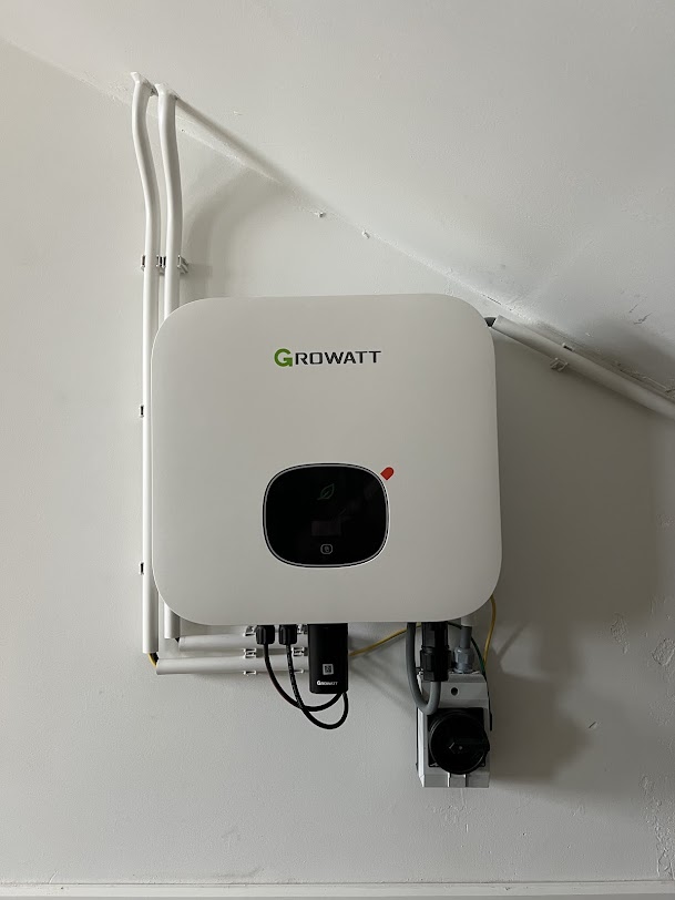 IMG 1